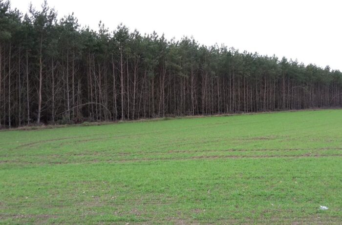 pir, rezerwaty przyrody, ochrona przyrody, rolnicy