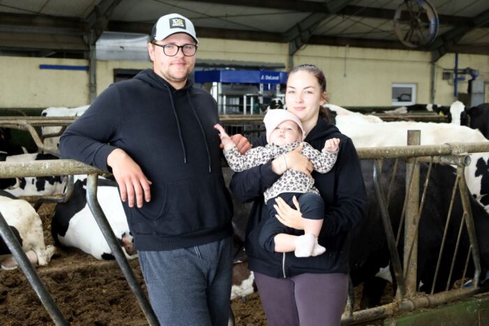 Rolniczy handel detaliczny, RHD, hodowla bydła, produkcja serów, przetwory mleczne, bydło mleczne,