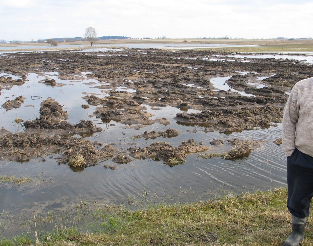 arimr, siła wyższa, podtopienia, dopłaty