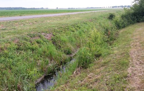 rowy melioracyjne, stan prawny, regulacja, przepisy