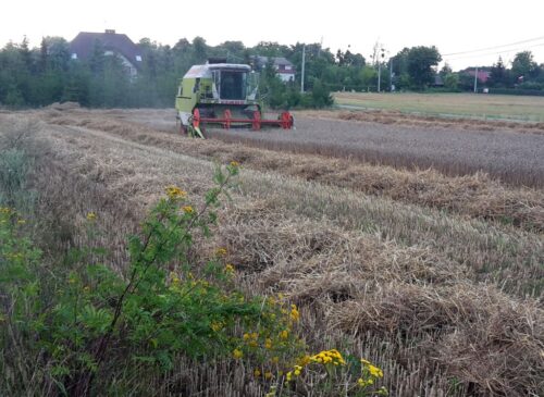 iung, raport, susza rolnicza, zasięg suszy