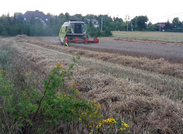 iung, raport, susza rolnicza, zasięg suszy
