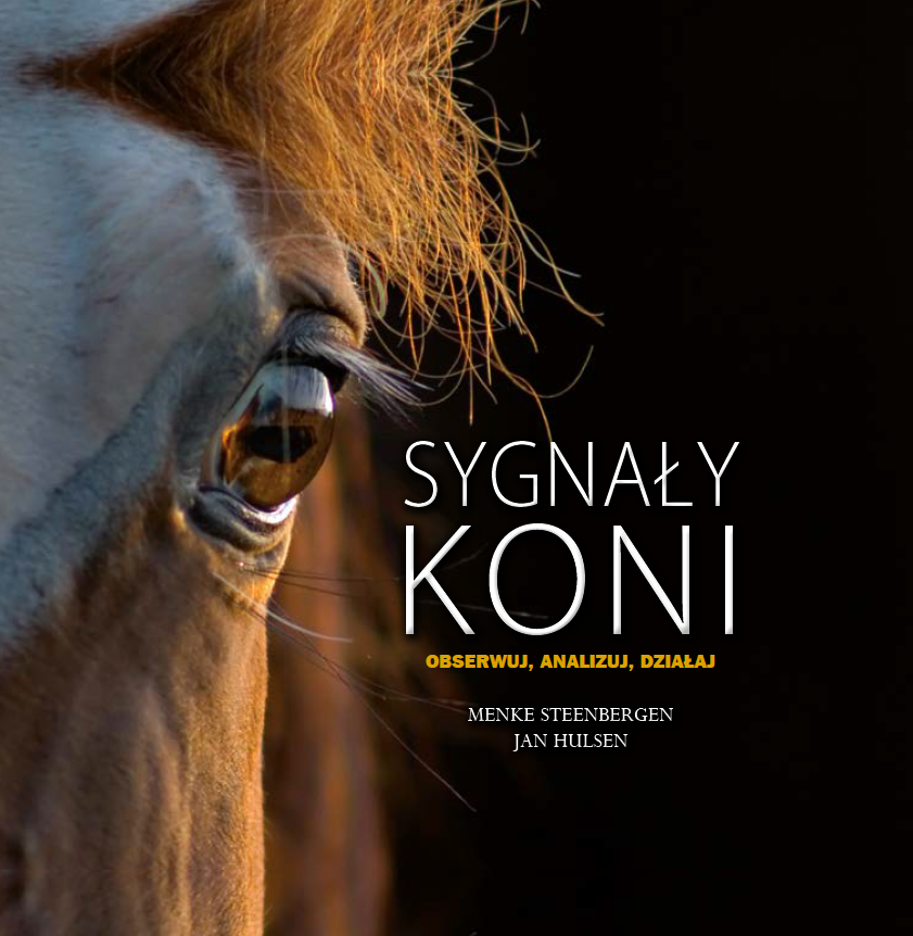 Sygnały koni