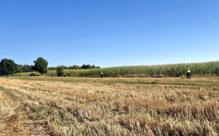 wybuch, eksplozja, pole, kukurydza