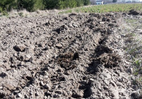 prawo, projekt ustawy, restrukturyzacja zadłużenia rolników, prezydent