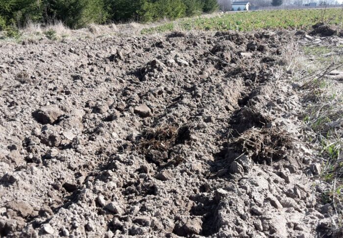 prawo, projekt ustawy, restrukturyzacja zadłużenia rolników, prezydent