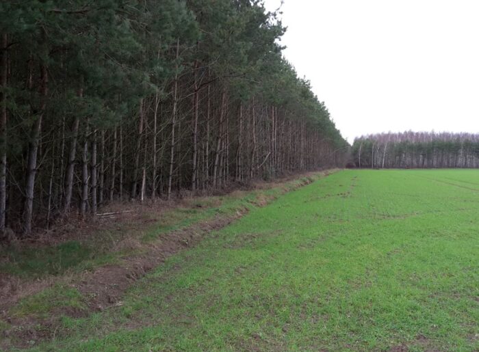 arimr, nabór, wnioski pomoc, inwestycje leśne