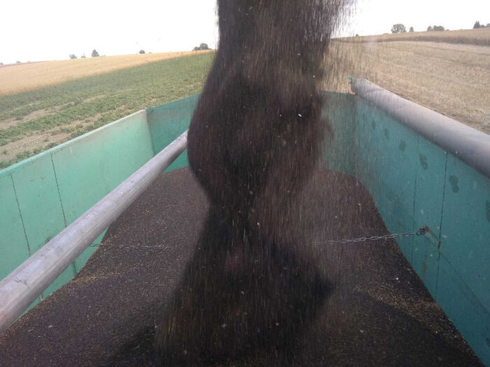 pspo, rzepak, przerób rzepaku, produkcja oleju