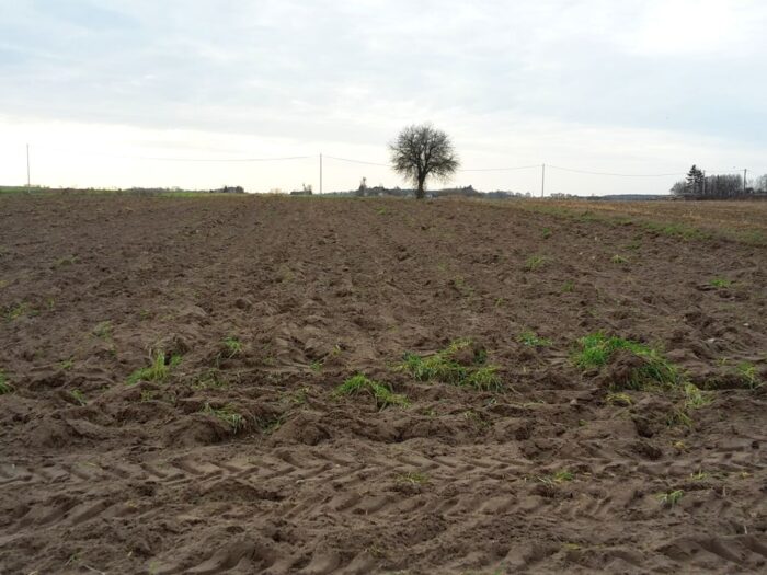 arimr, wezwania, dzierżawa gruntów, umowa dzierżawy