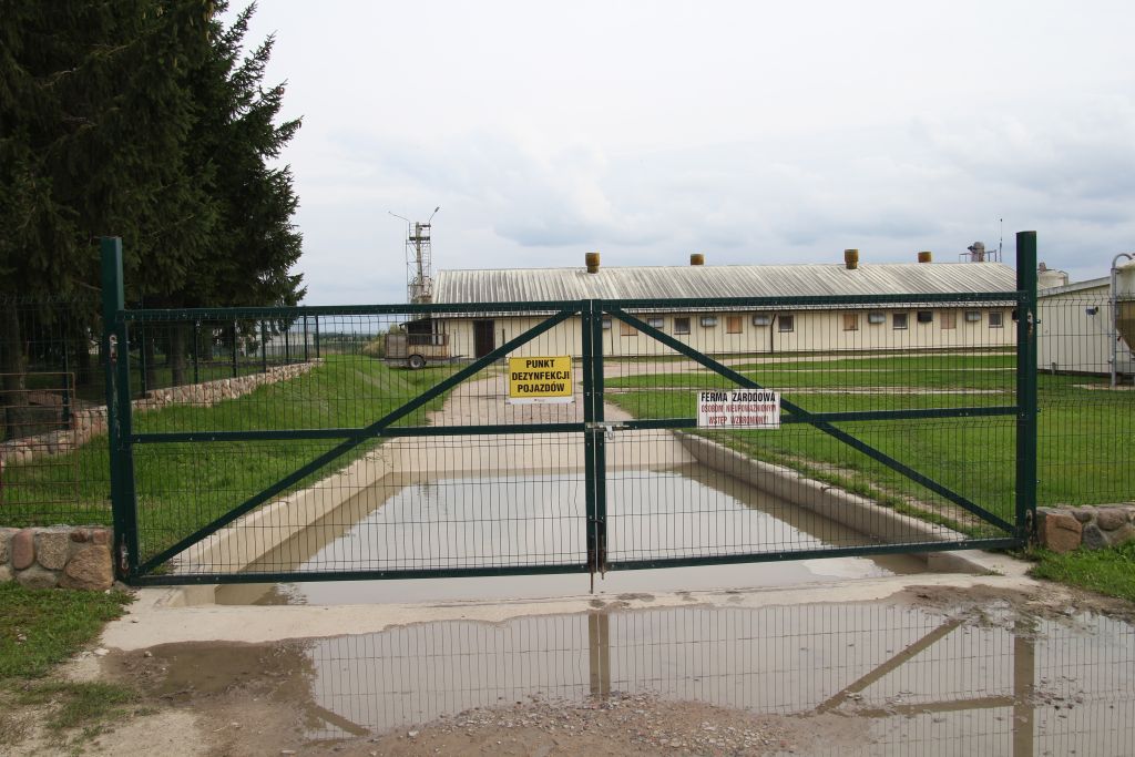 wsparcie bioasekuracyjne, bioasekuracja. ARiMR, trzoda chlewna, hodowcy świń, ASF, dofinansowanie rolnictwa, pomoc de minimis, refundacja kosztów, wsparcie dla rolników, chlewnie, bezpieczeństwo biologiczne