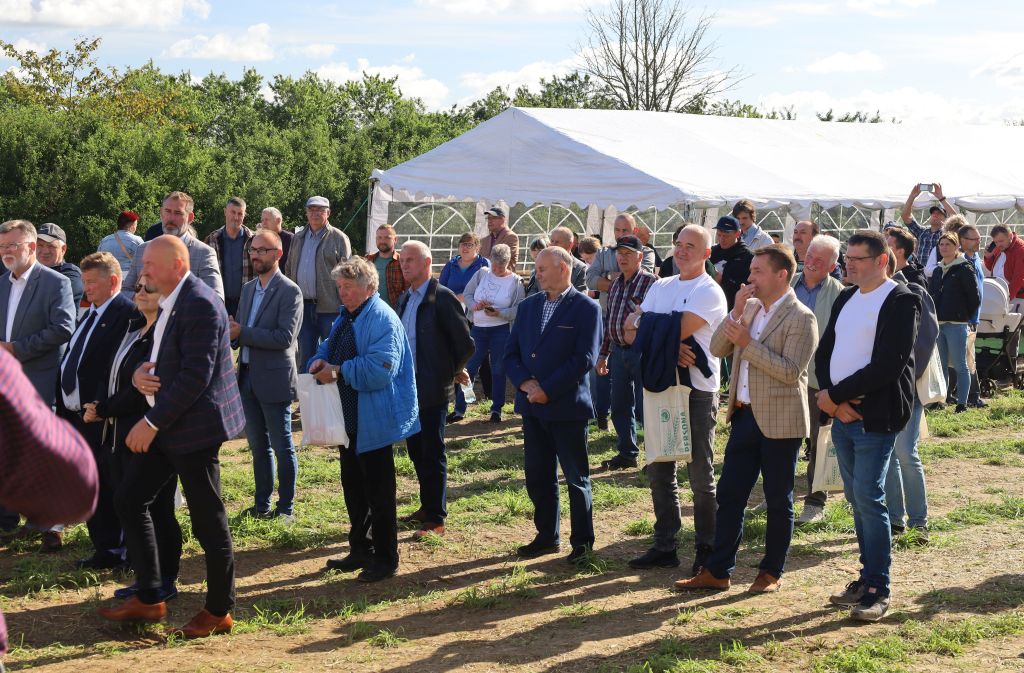 dni pola, dzień kukurydzy, kolba na wypasie, Stadnina Koni Nowe Jankowice, Młyn Szczepanki, PZZ Kwidzyn