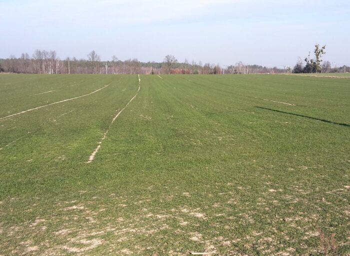 dobre praktyki rolnicze, zzdpr, mrirw, erozja gleby