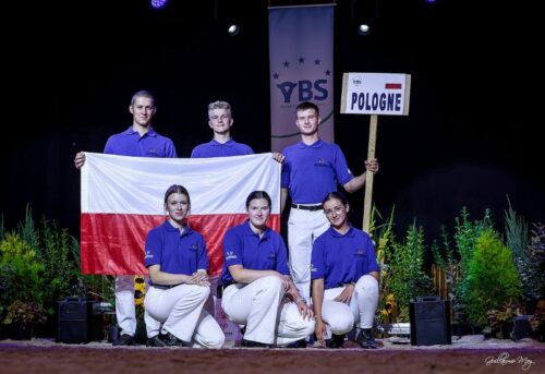 Young Breeders School w Belgii, fitting, fitterzy z Polski, PFHBiPM, oprowadzanie jałówek, krowy, jałówki, bydło mleczne