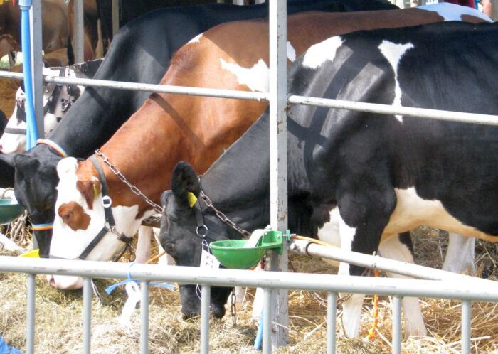 mrirw, przechowywanie nawozów, nawozy naturalne, płyta obornikowa