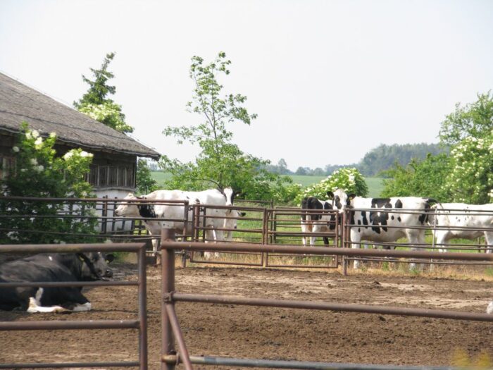 bolesta, ustawa odorowa, uciążliwości zapachowe, zapachy