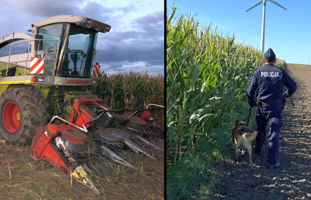 zbiór kukurydzy, pułapki, sieczkarnia, metal