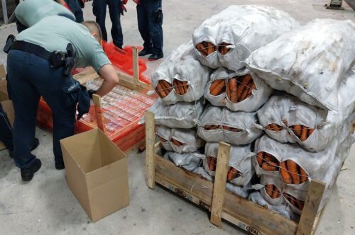 kontrola, kontrabanda, papierosy, nielegalne papierosy, marchew