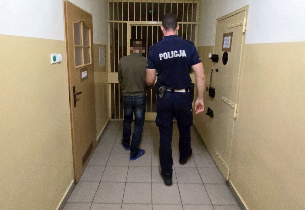 kpp żywiec, skradziona krowa, zatrzymanie, zarzuty