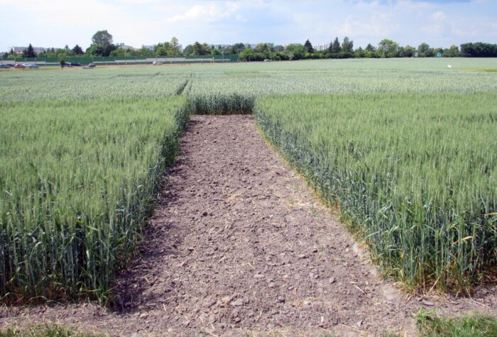 krir, zakup ziemi, kredyty, zakup gruntów