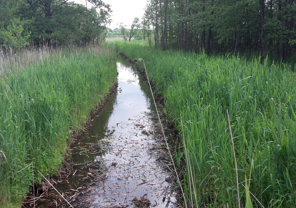 resort infrastruktury, rowy melioracyjne, stan rowów, gospodarka wodna
