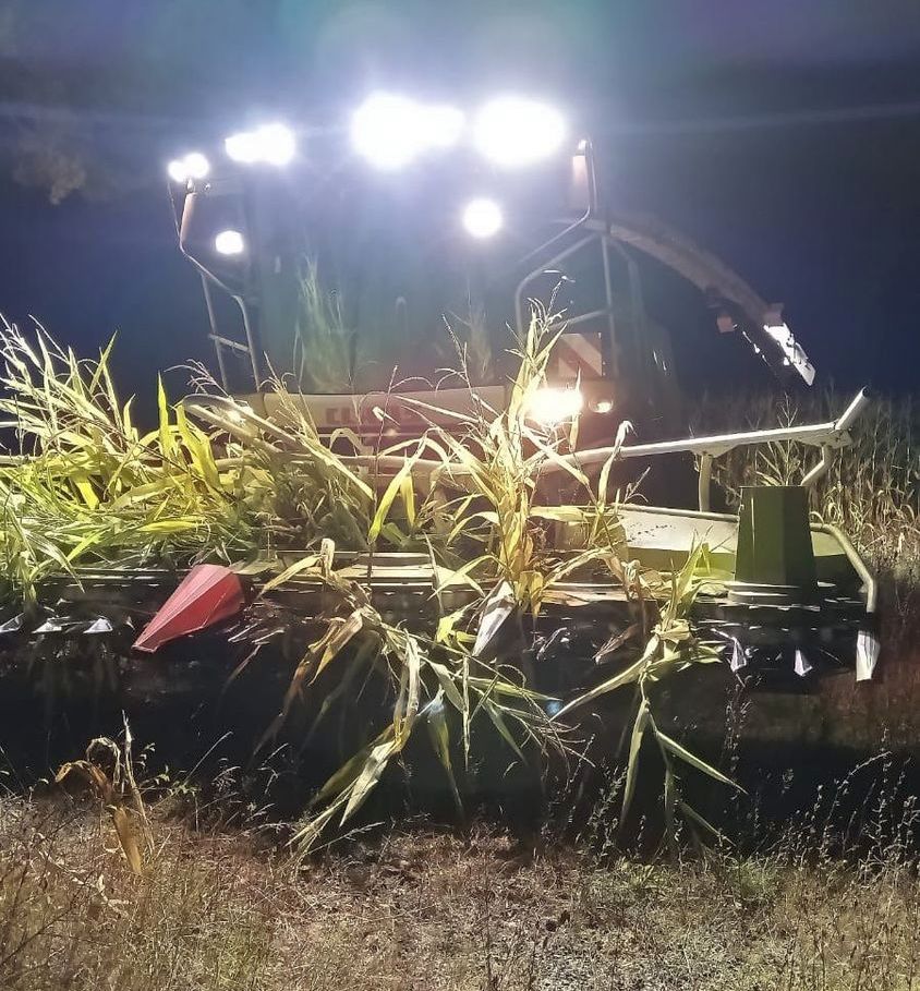 prace polowe, zbiór kukurydzy, wypadek, porażenie prądem