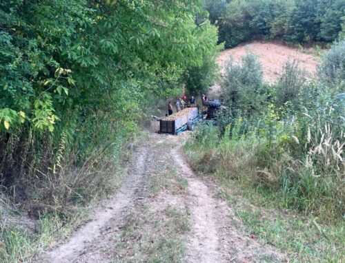 wywrócony ciągnik, ranny mężczyzna, przewóz jabłek, przygniecenie