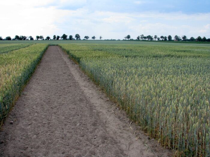 krir, ministerstwo rolnictwa, dopłaty bezpośrednie, mapy