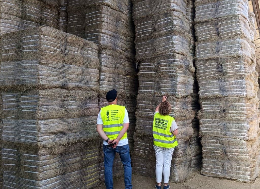 wiorin poznań, eksport siana, korea południowa, świadectwo fitosanitarne