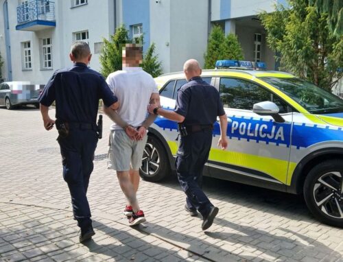 kradzież, ciągnik, kradzież ciągnika, zatrzymanie