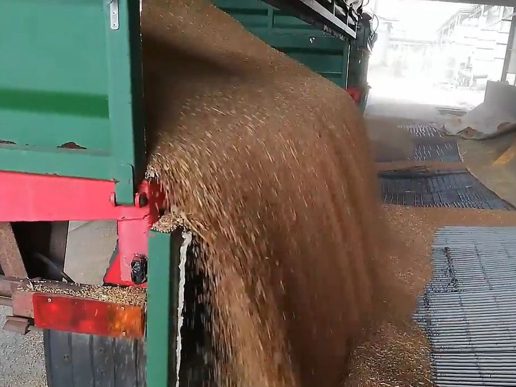 zsrir, mrirw, ceny zbóż, skup zbóż