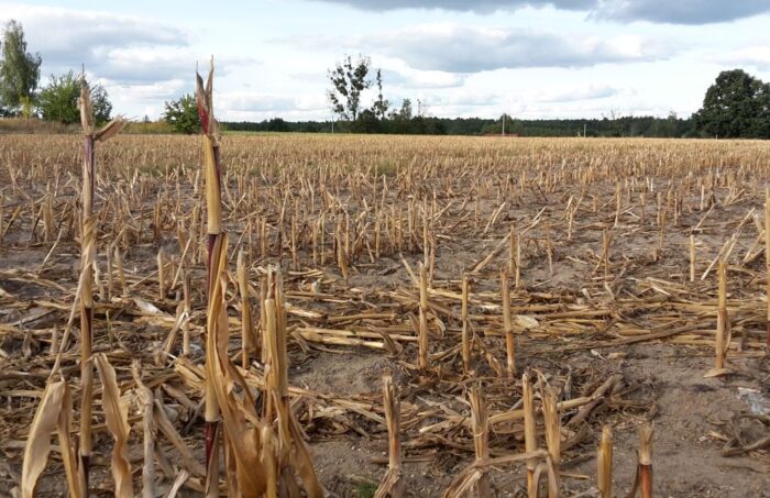 arimr, dopłaty bezpośrednie, monitoring upraw, zbiór upraw