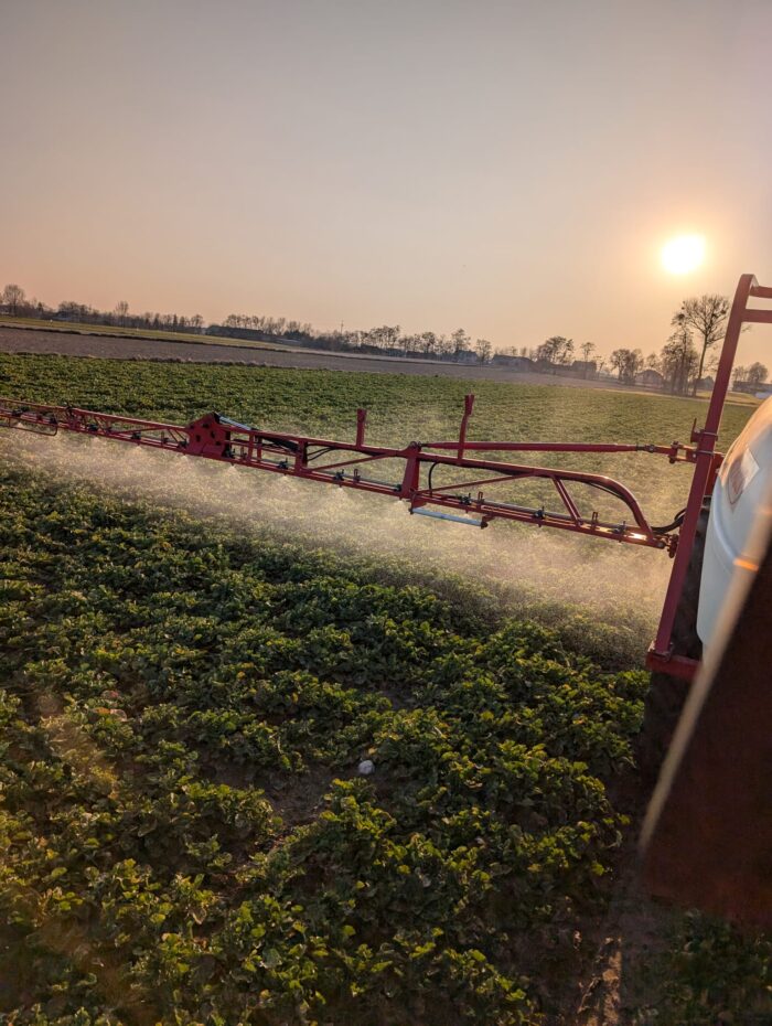 mykotoksyny jak ograniczyć