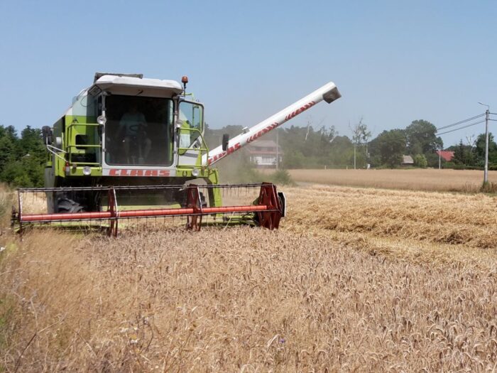 copa-cogeca, ue, produkcja zbóż, zboże
