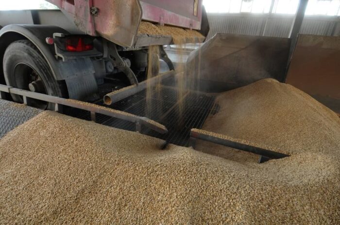 rolnicza s, dopłaty do zbóż, ceny zbóż, agroport