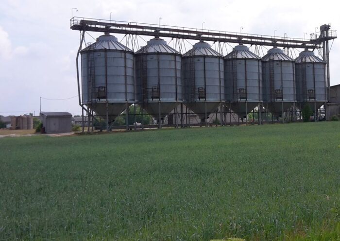 ceny zbóż, rynek zbóż, magazynowanie zbóż, skup zbóż