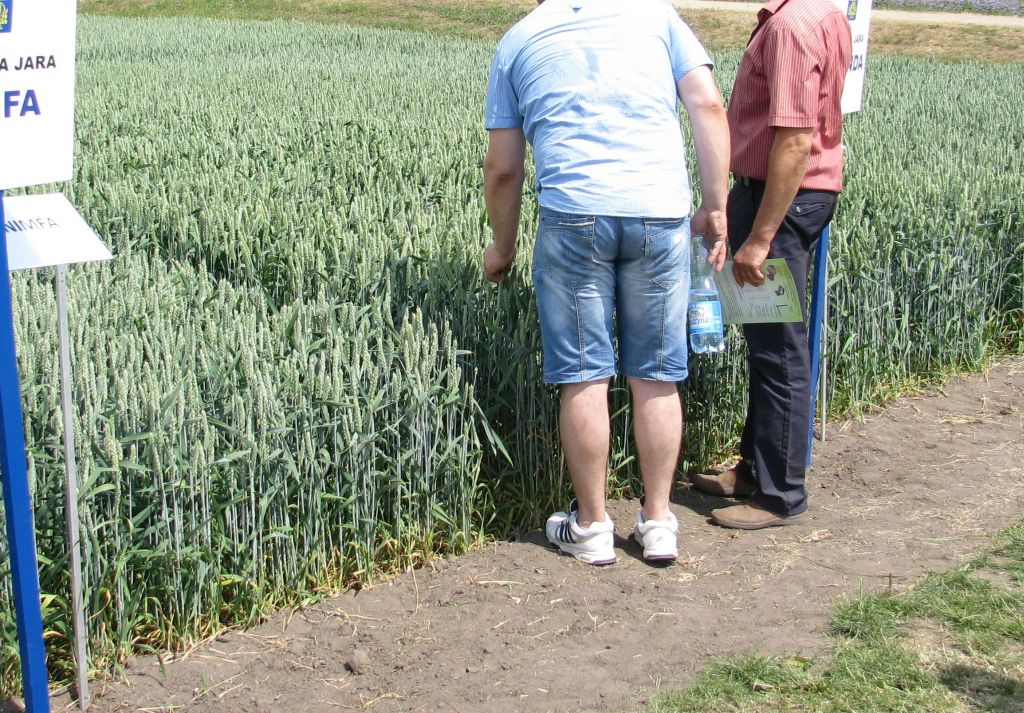 ustawa, doradztwo rolnicze, doradcy rolniczy, ps wpr