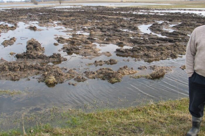minister rolnictwa, krajewski, żuławy, zalane pola