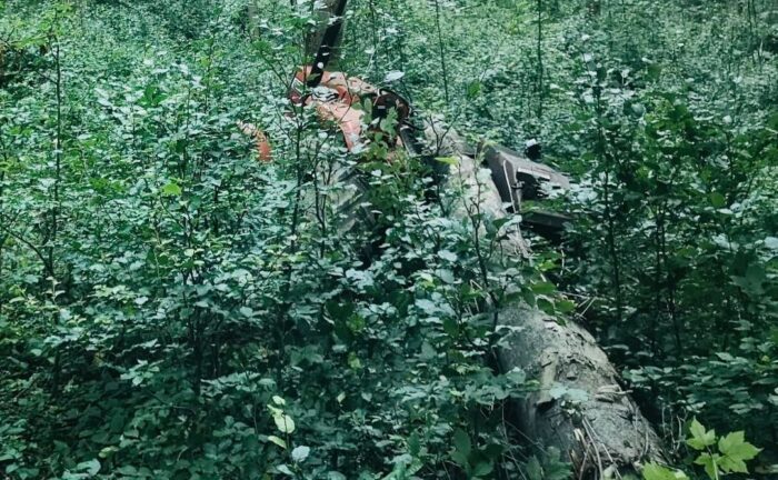 prace leśne wypadek zwózka drewna śmierć mężczyzny