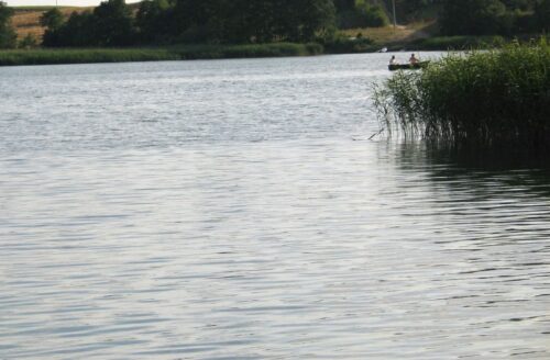 gospodarstwa rybackie, hodowcy ryb, nabór, wnioski