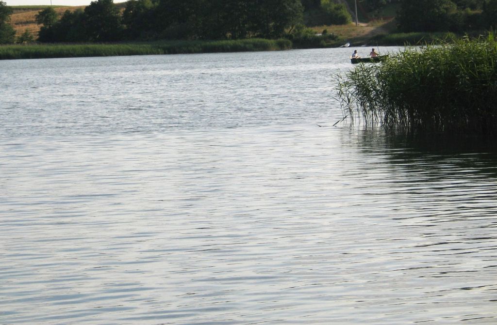 gospodarstwa rybackie, hodowcy ryb, nabór, wnioski