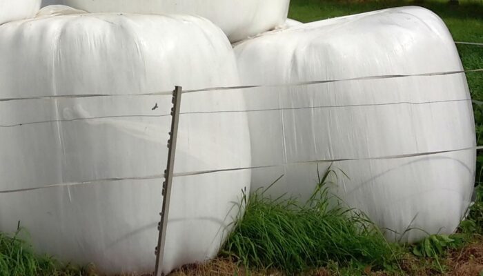 mrirw, folia rolnicza, kiszonka, odpady