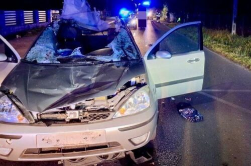 wypadek, auto, koń, śmierć kierowcy