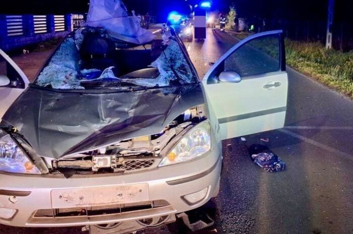 wypadek, auto, koń, śmierć kierowcy