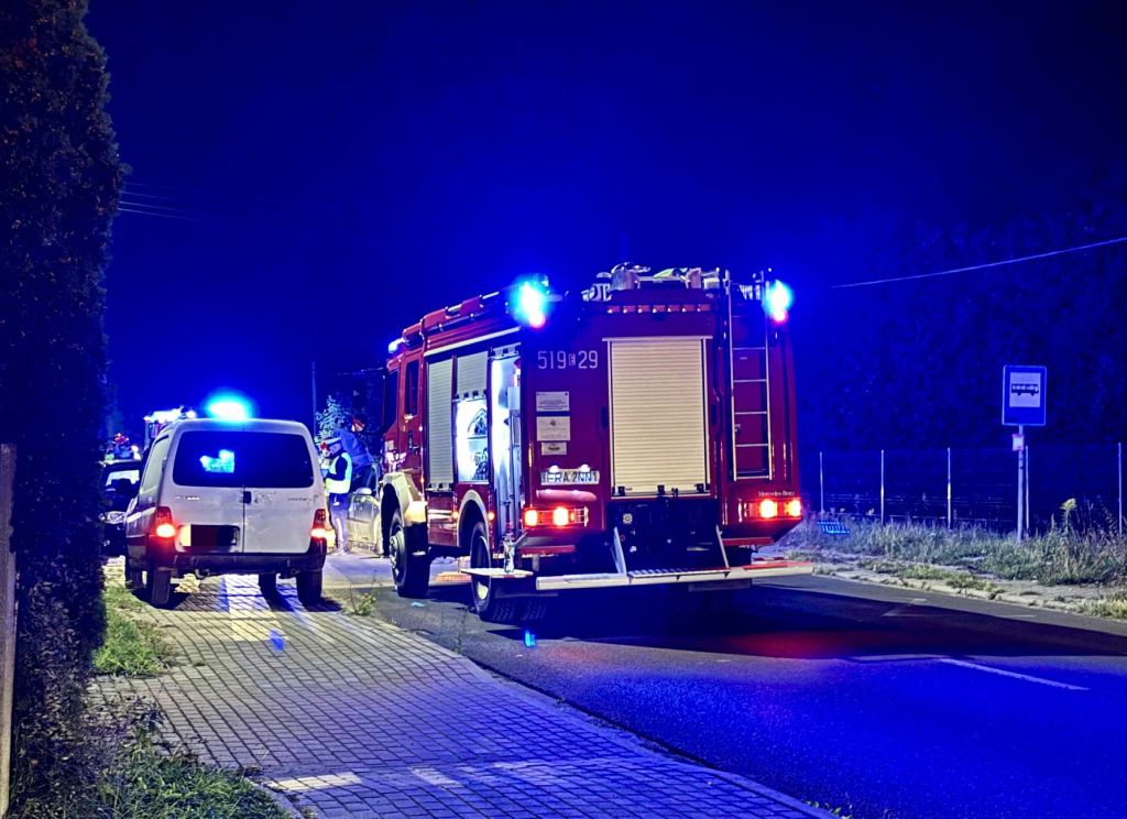 wypadek, auto, koń, śmierć kierowcy