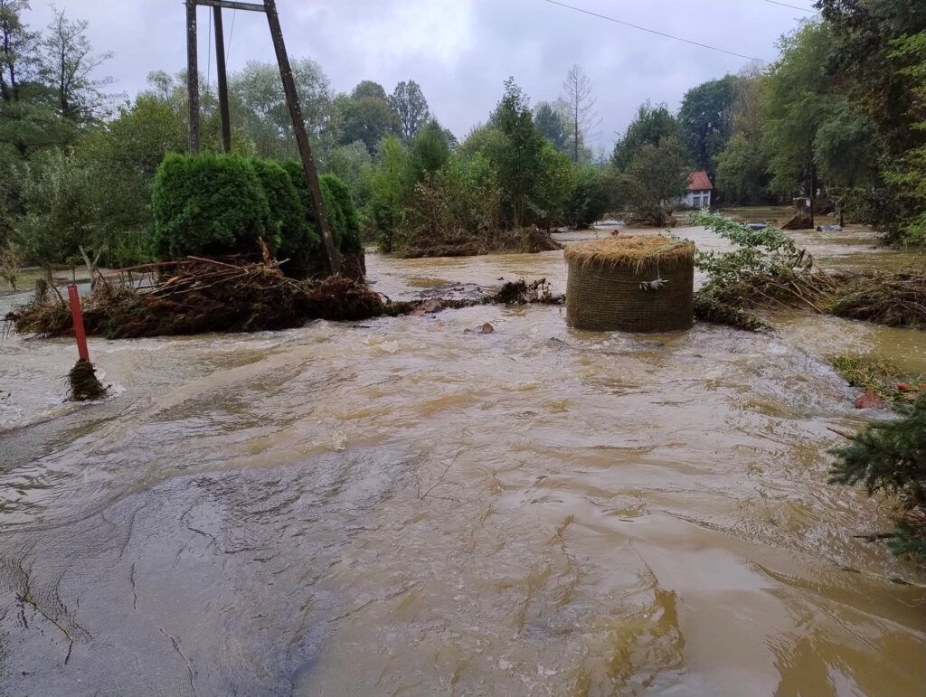 agencja, nabór, wnioski, pomoc
