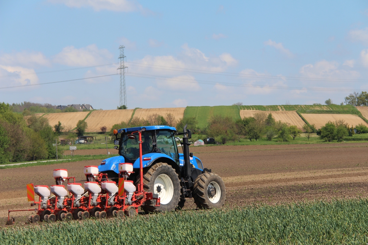 ciągnik, traktor, pole, grunt