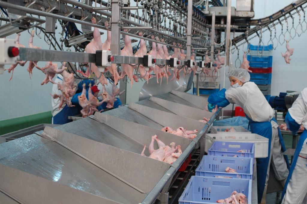 zea, zakaz importu, polski drób, eksport