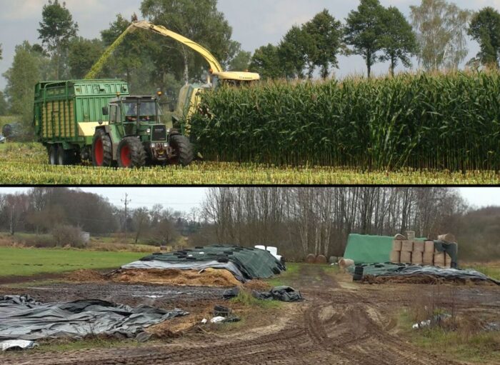 krus, prewencja, przygotowanie kiszonek, praca rolników, bezpieczeństwo