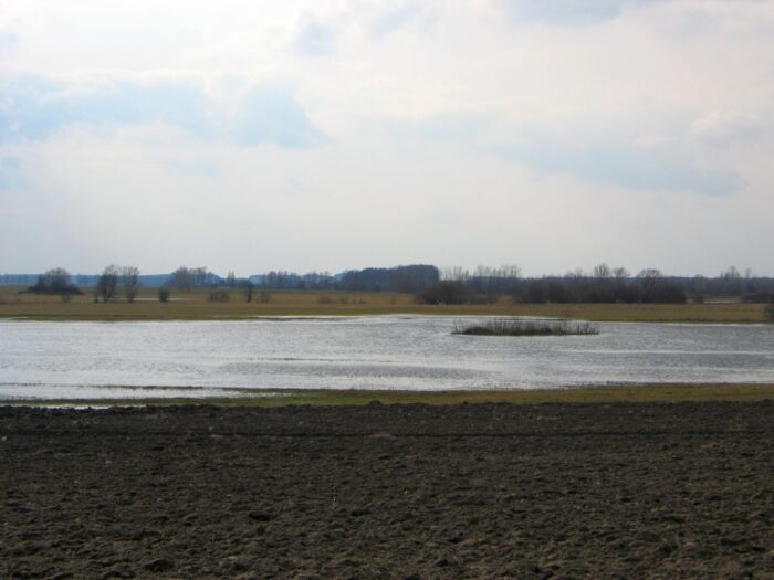 przepisy, ustawa ps wpr, ps wpr, rząd