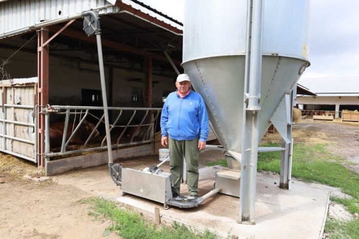 opas na sucho, automatyczne zadawanie paszy, koszty produkcji, siła robocza,